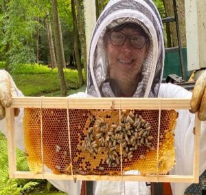 bee removal service